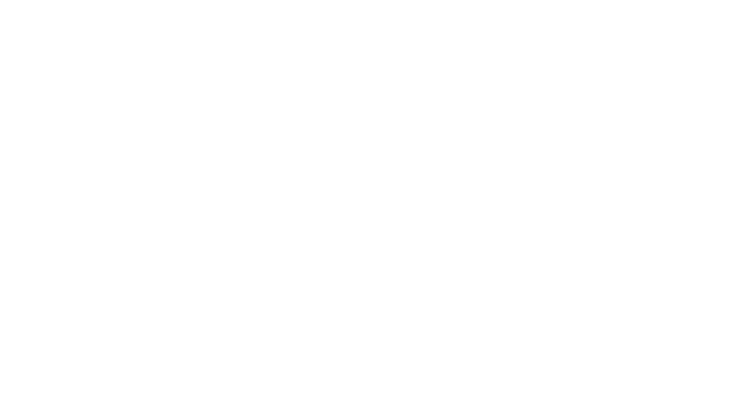 Auszeichnung Comenius